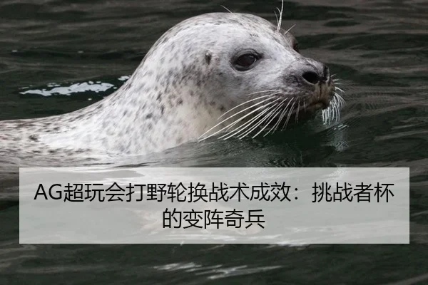 chao-wan-hui-da-ye-lun-huan-zhan-shu-cheng-xiao-tiao-zhan-zhe-bei-de-bian-zhen-qi-bing-2-942.jpg