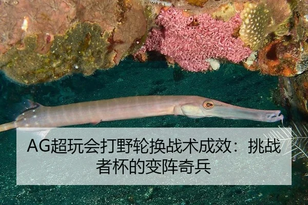 AG超玩会打野轮换战术成效：挑战者杯的变阵奇兵