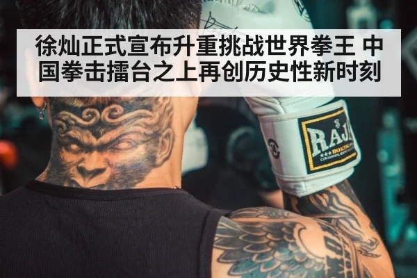 徐灿正式宣布升重挑战世界拳王 中国拳击擂台之上再创历史性新时刻