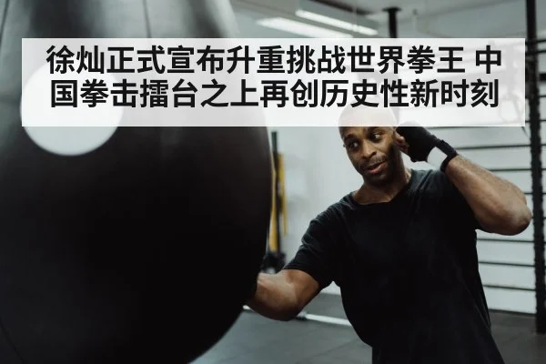 boxer punching heavy bag