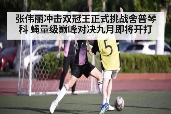 张伟丽冲击双冠王正式挑战舍普琴科 蝇量级巅峰对决九月即将开打